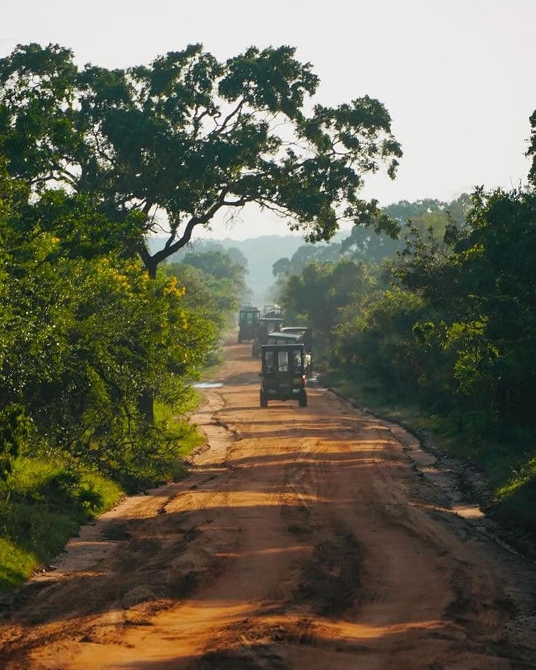 Wildlife safari experience in Sri Lanka
