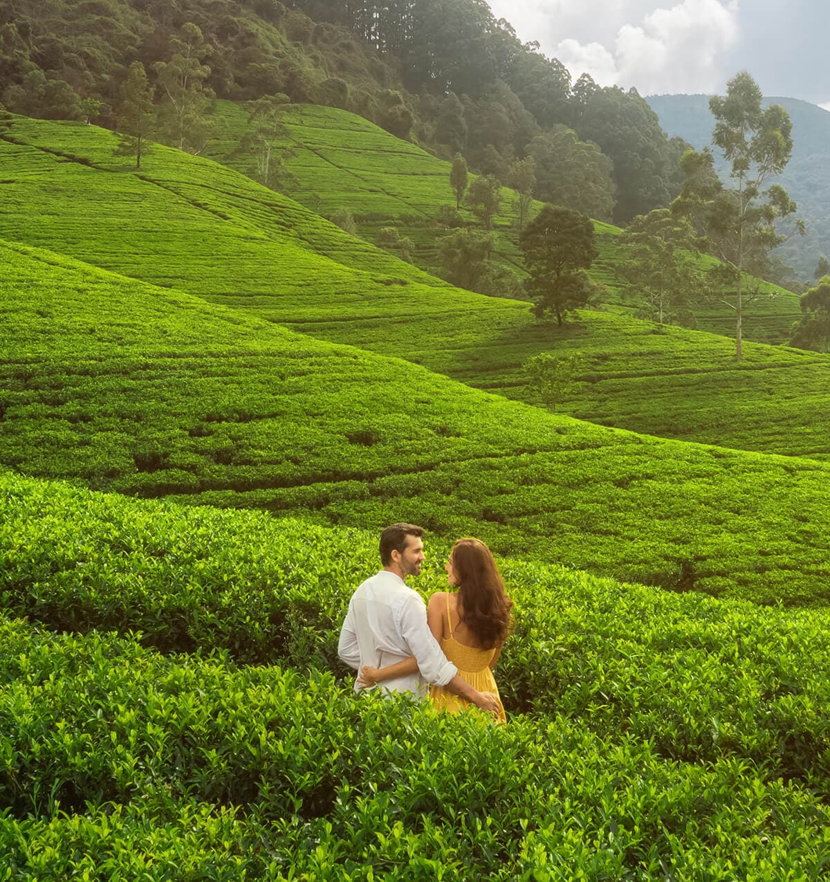 A honeymoon couple together among Sri Lanka’s tea plantations